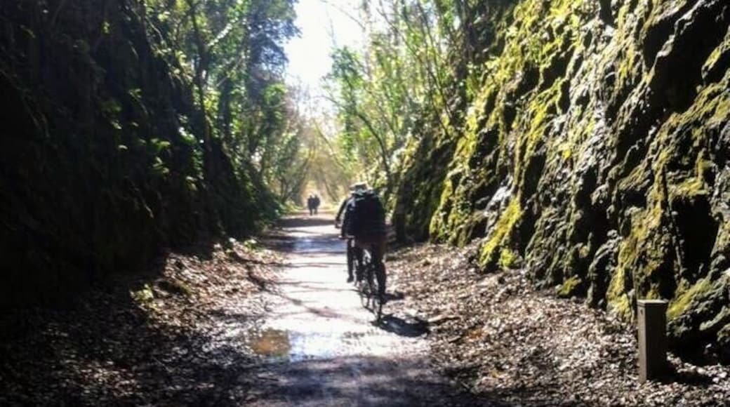 The strawberry Line - from Yatton to Cheddar. We stayed in a lovely cottage with this line at the back. We were near the long tunnel. You can walk or cycle the whole line #takeahike