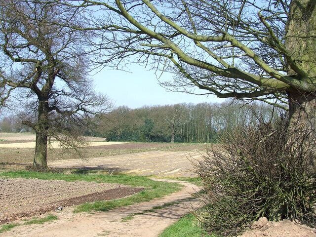 Fields, Essington Fruit Farm, Staffordshire The farm grows a variety of soft fruit and some other crops. It is also a nursery, selling seedlings early in the season.