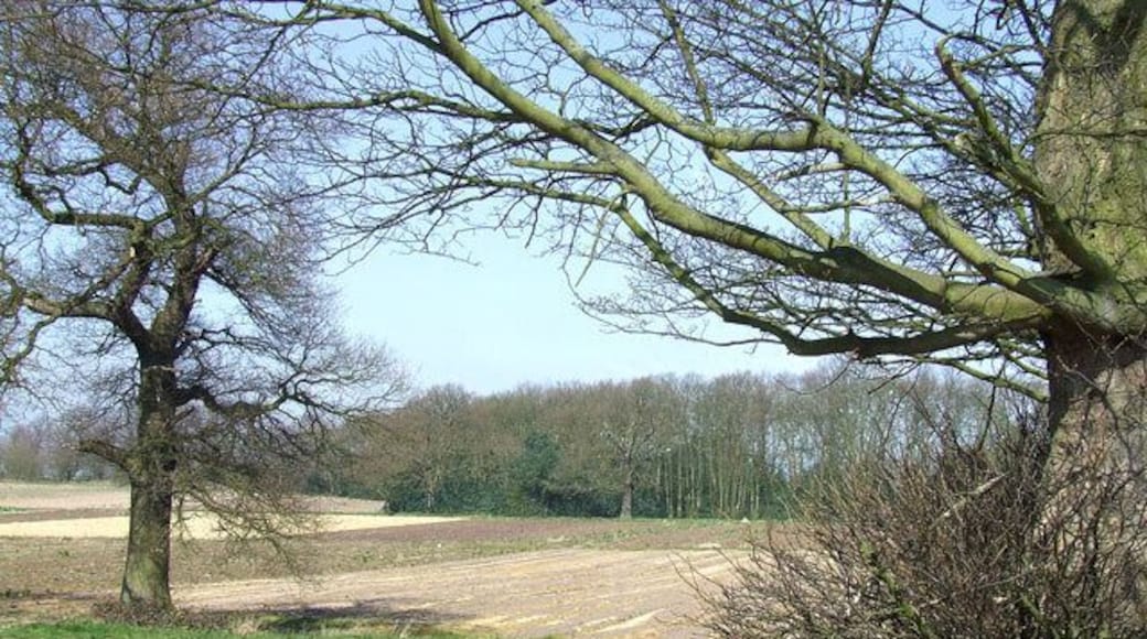Fields, Essington Fruit Farm, Staffordshire The farm grows a variety of soft fruit and some other crops. It is also a nursery, selling seedlings early in the season.