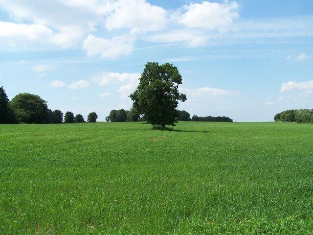 Near Essington Fruit Farm