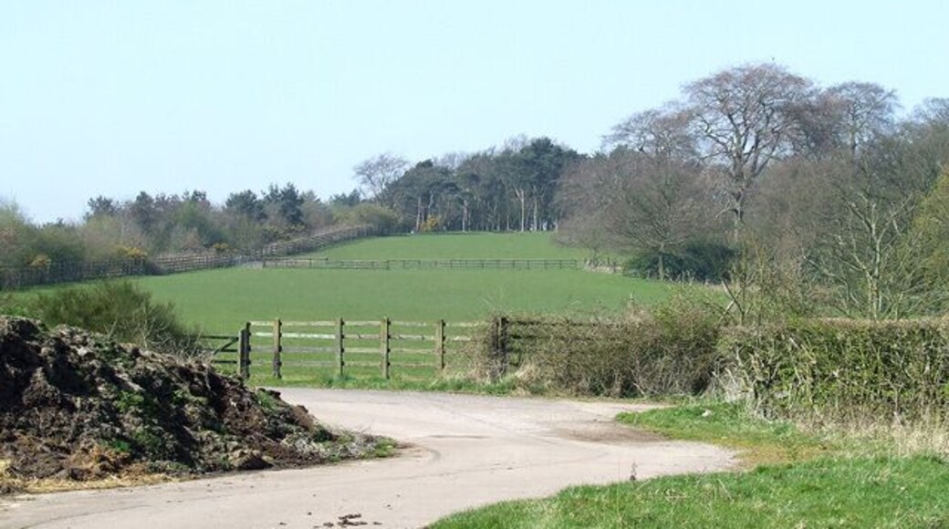 Grazing Land and Woods, Hilton Park, Staffordshire Strange! North of the M54 most of the land in the square is used for grazing and woodland; south of the M54 cereal crops and fruit predominate!