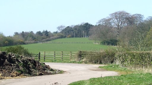 Grazing Land and Woods, Hilton Park, Staffordshire Strange! North of the M54 most of the land in the square is used for grazing and woodland; south of the M54 cereal crops and fruit predominate!