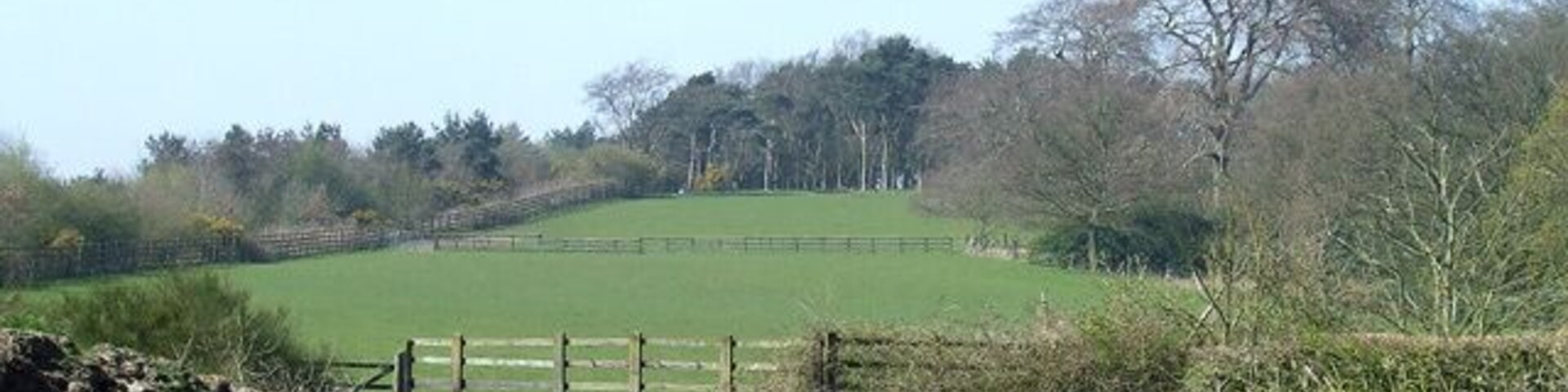Grazing Land and Woods, Hilton Park, Staffordshire Strange! North of the M54 most of the land in the square is used for grazing and woodland; south of the M54 cereal crops and fruit predominate!