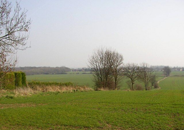 A rural landscape with a green field, a hedge, and leafless trees.