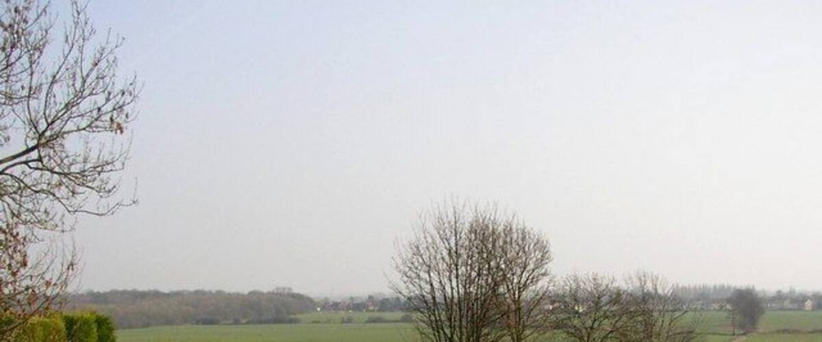 A rural landscape with a green field, a hedge, and leafless trees.