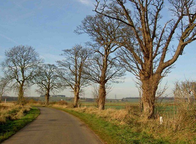 Scorcher Hills Lane Near Burghwallis