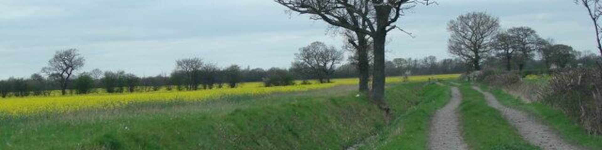 Johnstons Road, leading to Ashfields.