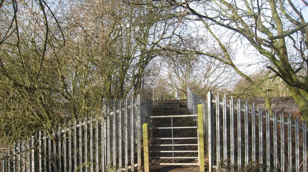 Steps up to the railway