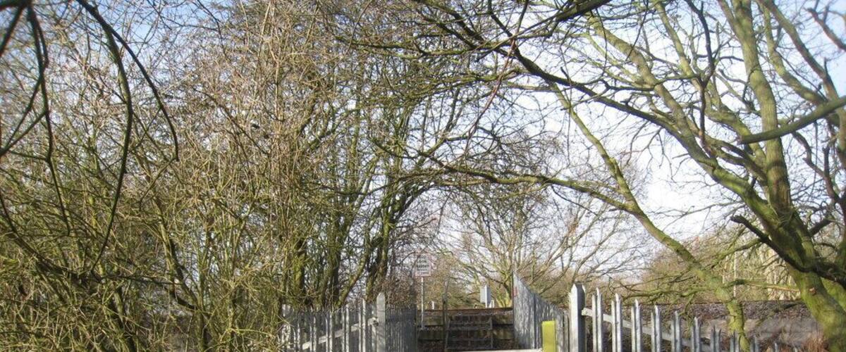 A rustic metal gate with a wooden fence, surrounded by leafless trees and a dirt path.