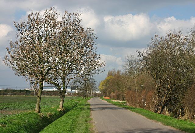 Moor Edges Road, Thorne Quiet road on the edge of Thorne.