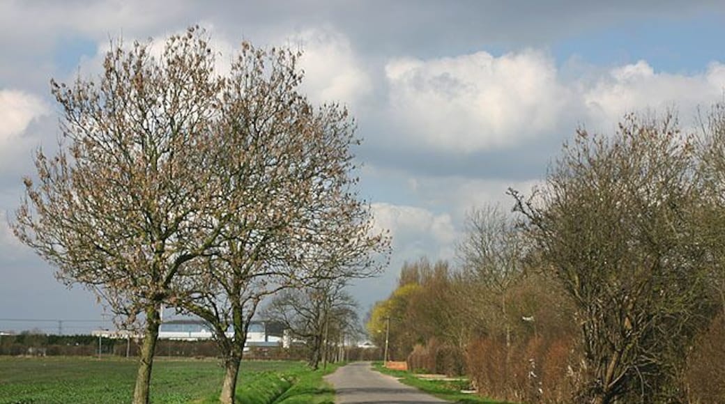 Moor Edges Road, Thorne Quiet road on the edge of Thorne.