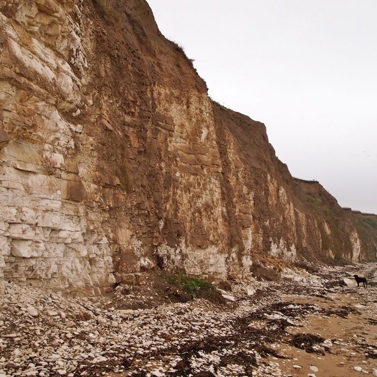A rocky cliff with layered sedimentary rock formations.