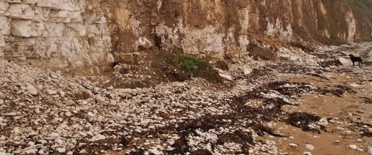 A rocky cliff with layered sedimentary rock formations.