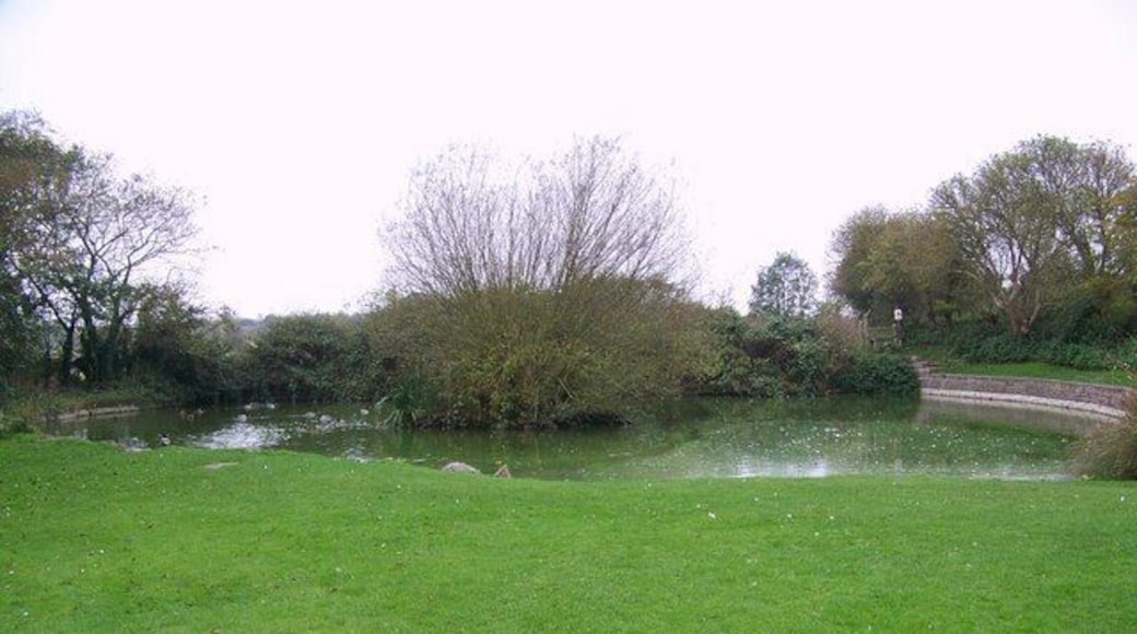 Village Pond, Bempton, East Riding of Yorkshire, England. In use for at least 100 years and possibly as far back as the 18th century, the pond was used mainly for watering livestock and it also had an adjoining sheep dip.