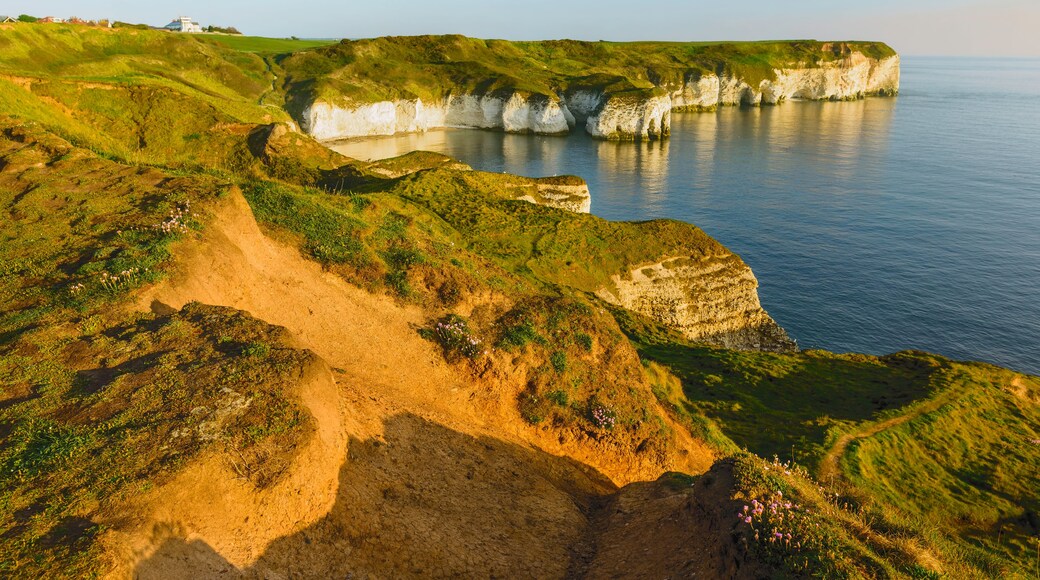 Eroded high chalk cliffs, Flamborough, Yorkshire, UK.