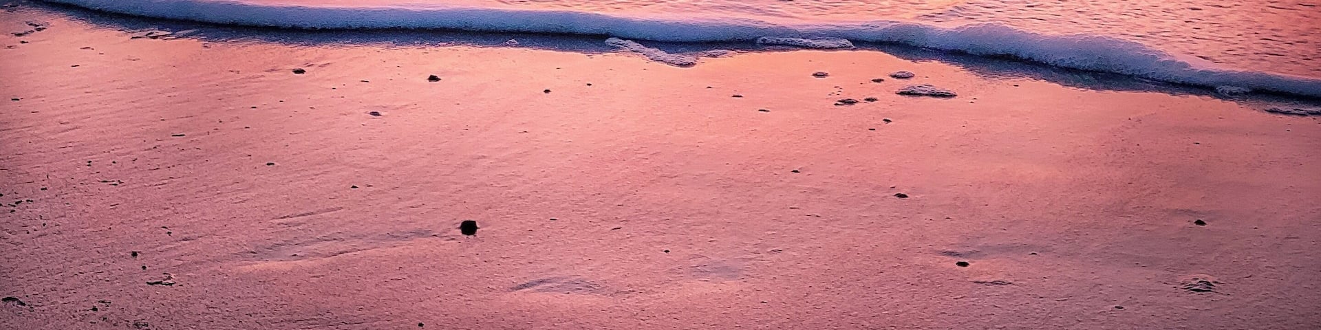 Beautiful sunrise shots from this location