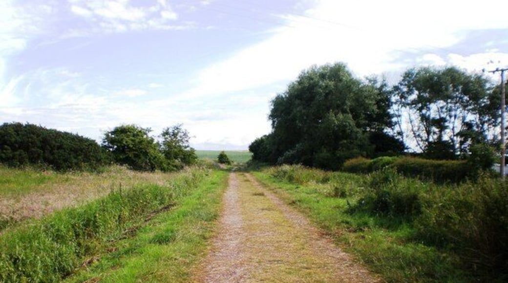Flamborough, East Riding of Yorkshire, England. I can see the sea! The track from Beacon Farm, Flamborough, which leads to the headland and coastal path.