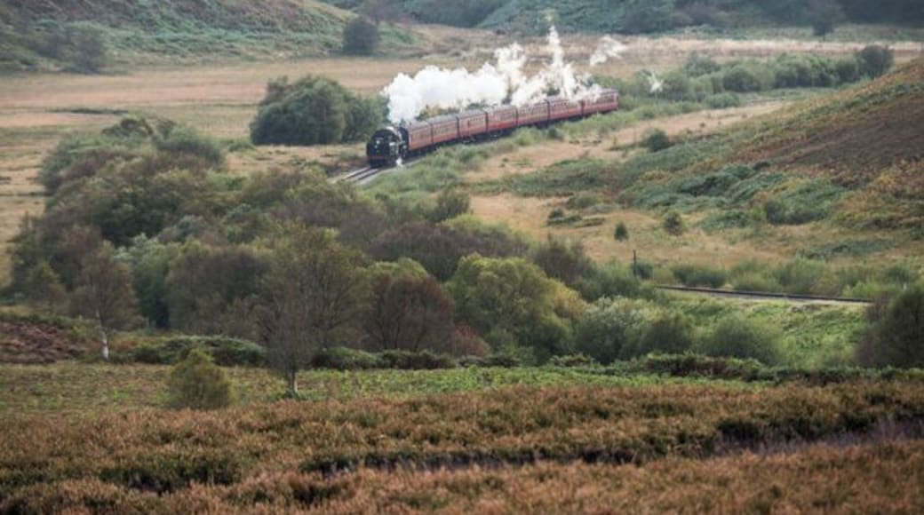 Steam train crossing the North Yorkshire Moor about midway between Danby and Houlsyke.
