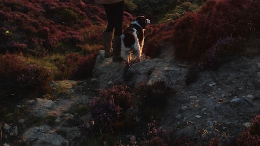 Sunset at the old quarry on Ainthorpe Rig