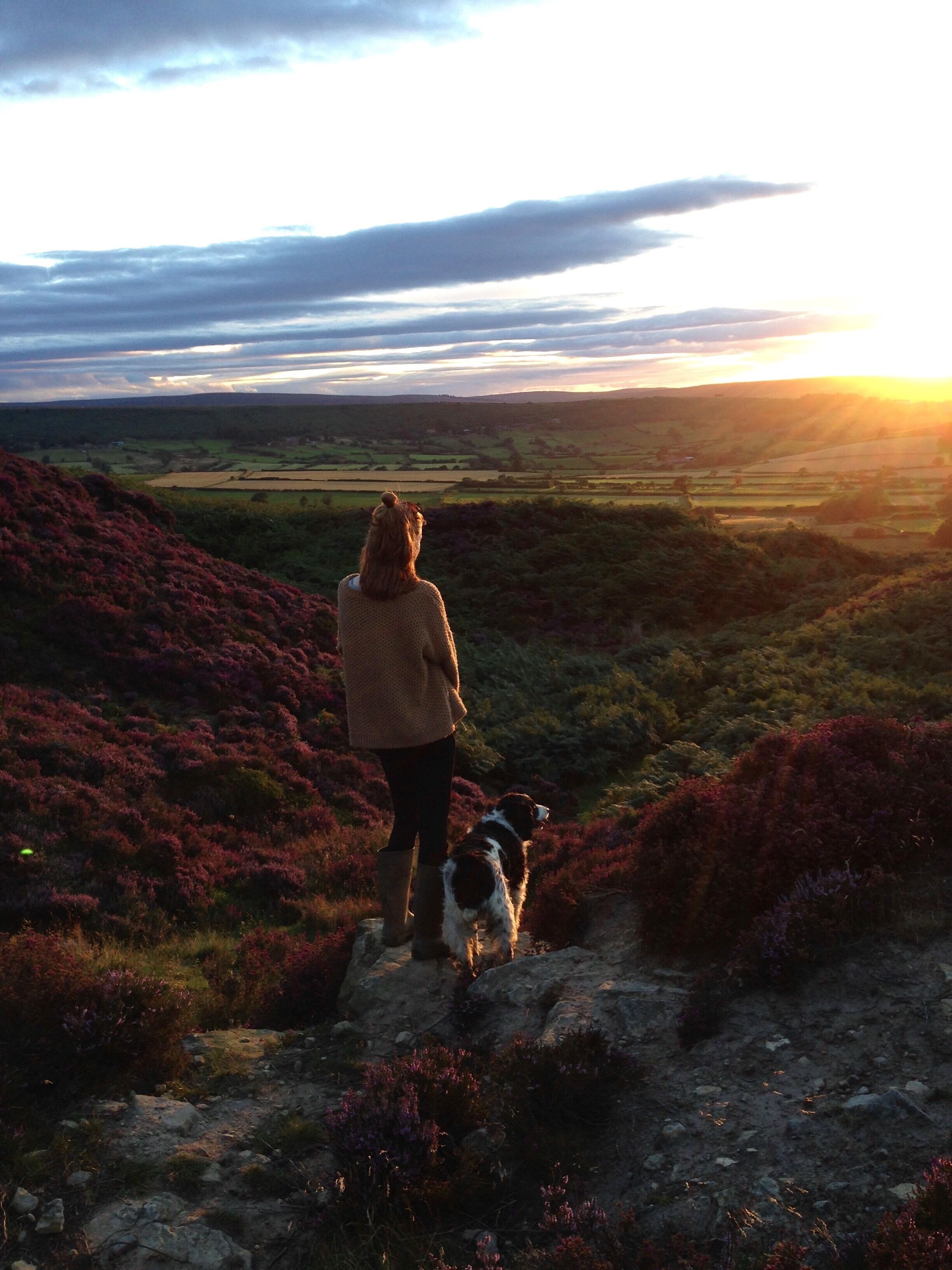 A person and a dog on a rocky path with heather fields and a sunset in the background.