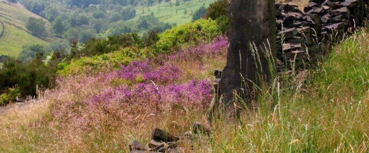 Royd Edge Clough. Royd Edge Clough drains the western side of West Nab above Meltham.