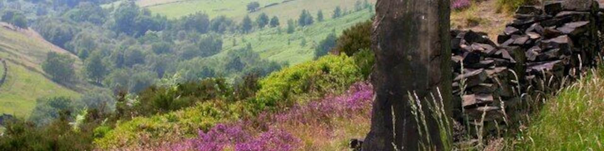 Royd Edge Clough. Royd Edge Clough drains the western side of West Nab above Meltham.