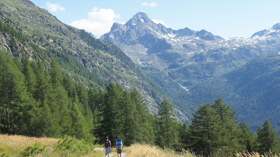 A mountain trail with hikers and a snow-capped peak in the background.