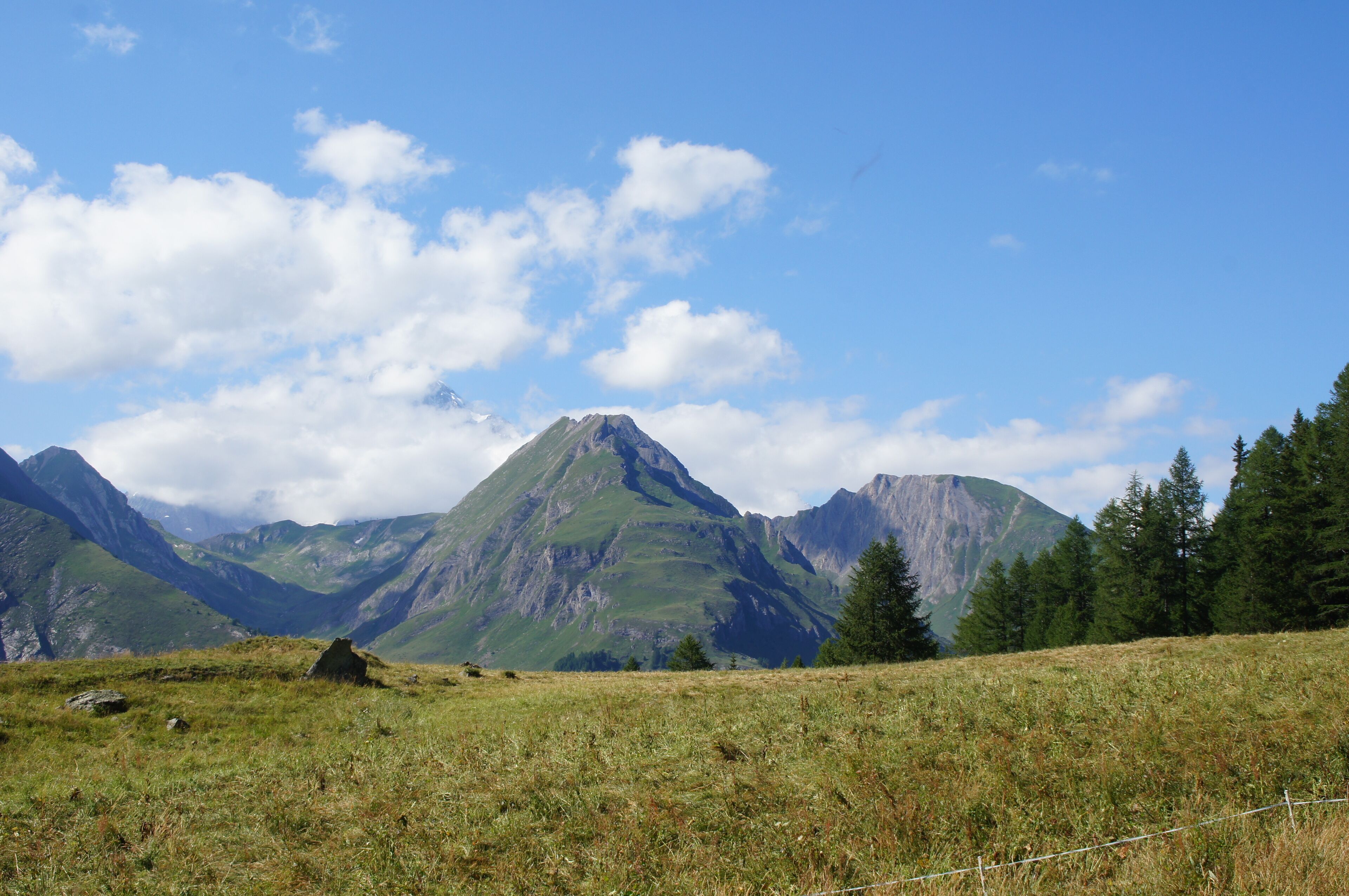 A mountainous landscape with a prominent peak, a grassy field, and a forested area.