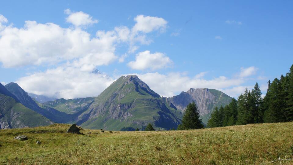 A mountainous landscape with a prominent peak, a grassy field, and a forested area.