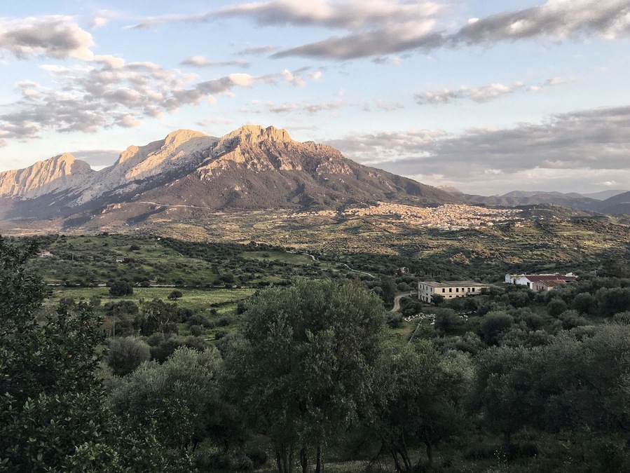A view from afar