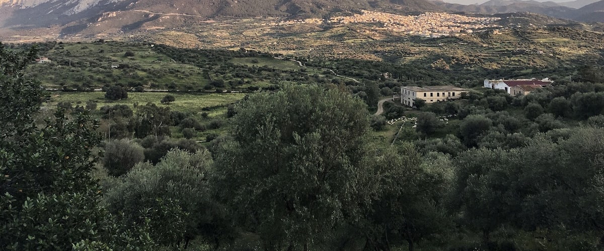A mountainous landscape with a prominent peak, a valley with scattered buildings, and dense greenery in the foreground.