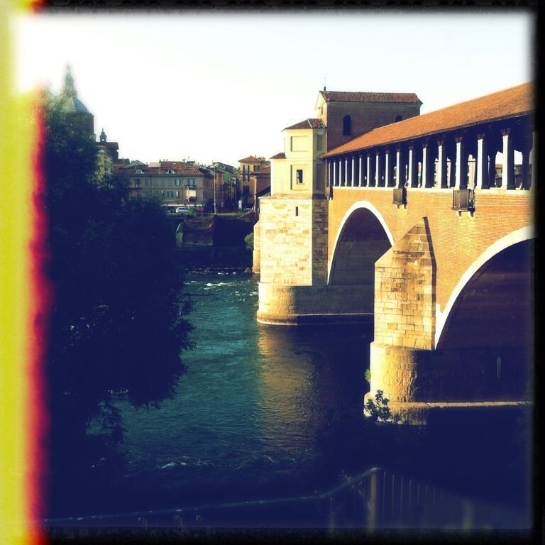 Pavia