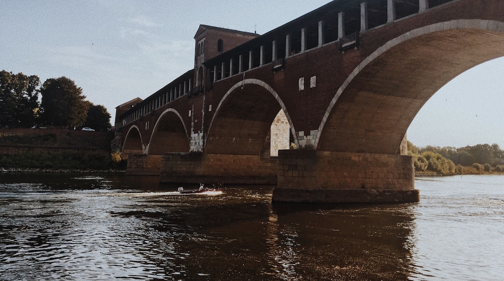 Under the bridge #pavia #ticino