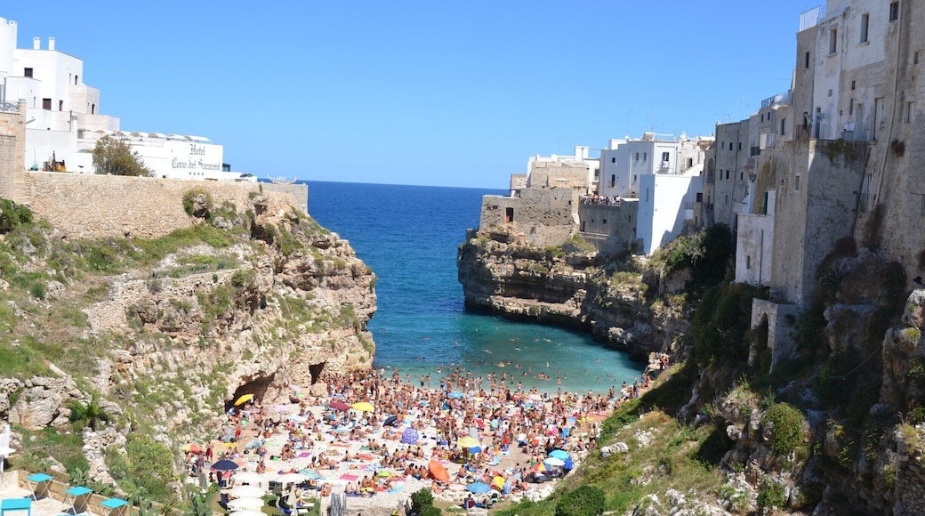 The crowded beach of Polignano.
#beach #turquoise #puglia #southitaly