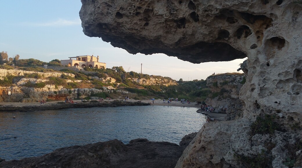 Cala incina e' una splendida insenatura tra polignano a mare e monopoli. Tutto molto spartano, non ci sono servizi, ed e' questo il bello, ...