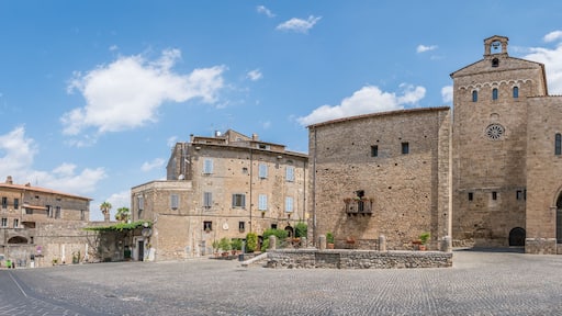 Anagni