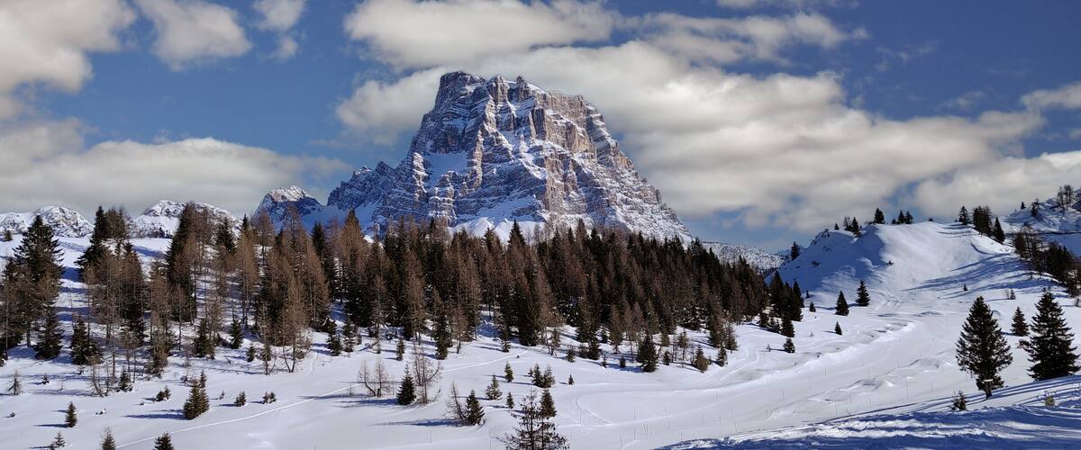 A snow-covered mountain peak with a forested valley and a clear sky.