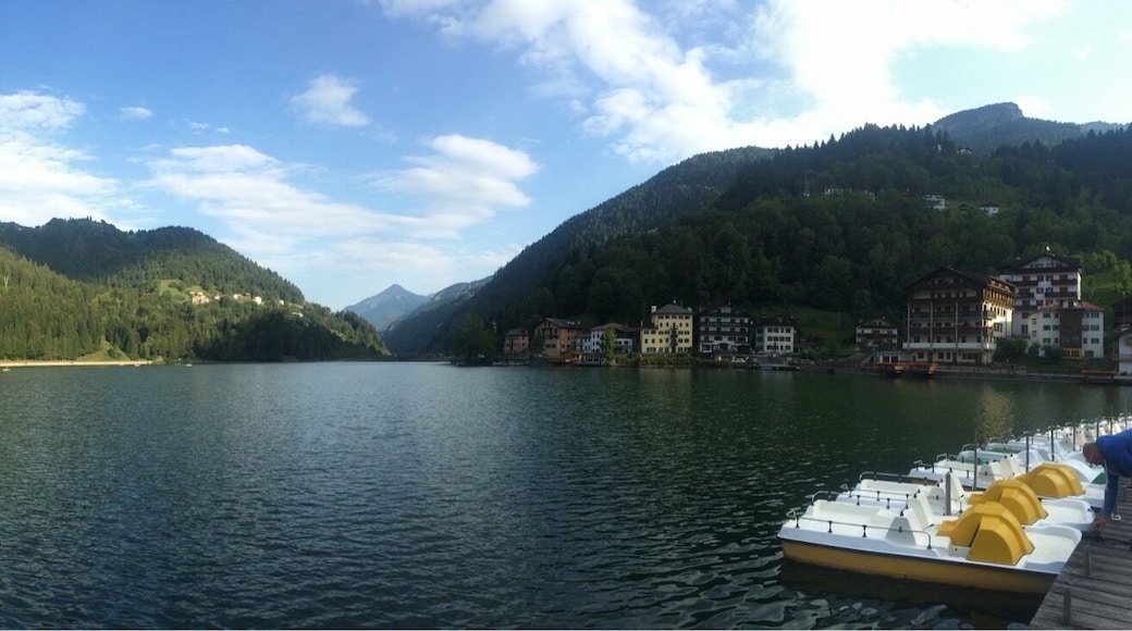First time skydiving! #Frenchpolynesia #LifeatExpedia