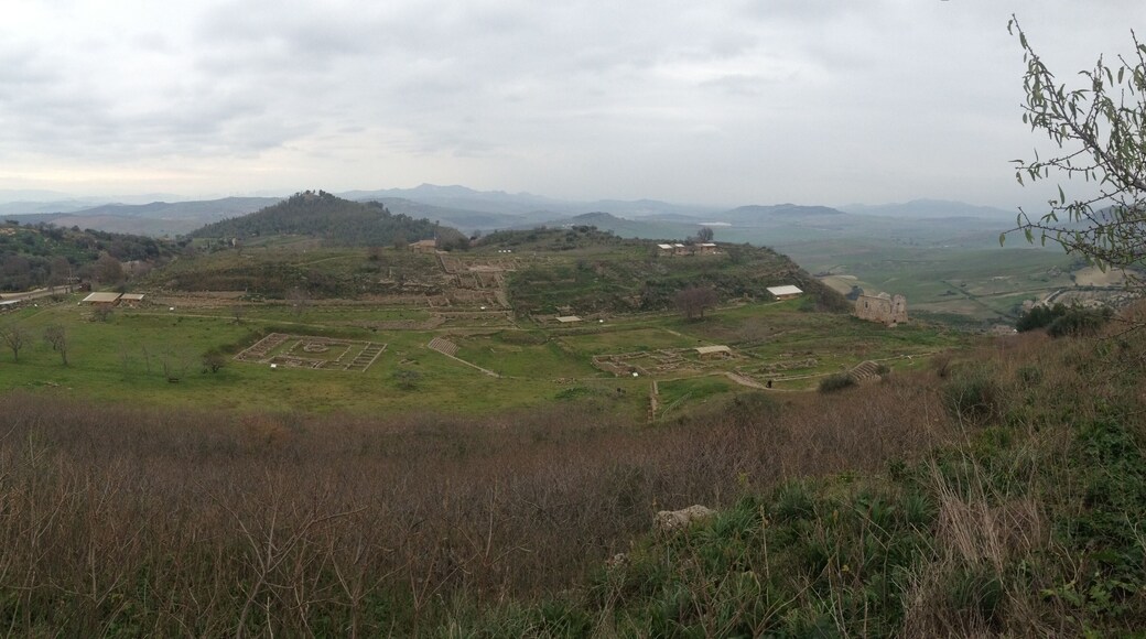 Morgantina dalla collina