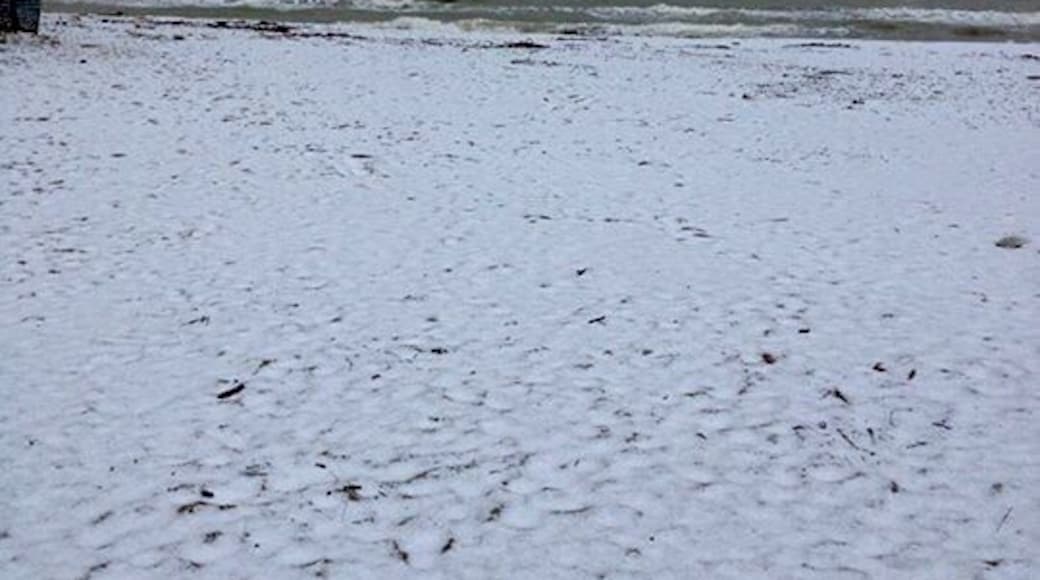 Snow on the beach at my little hometown, Italy East coast. #snow