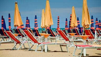 Rows of beach chairs and umbrellas on a sandy beach.
