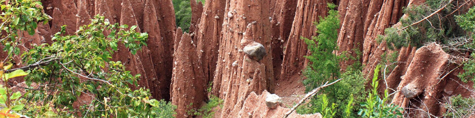 A landscape of tall, red rock formations with a forested background.