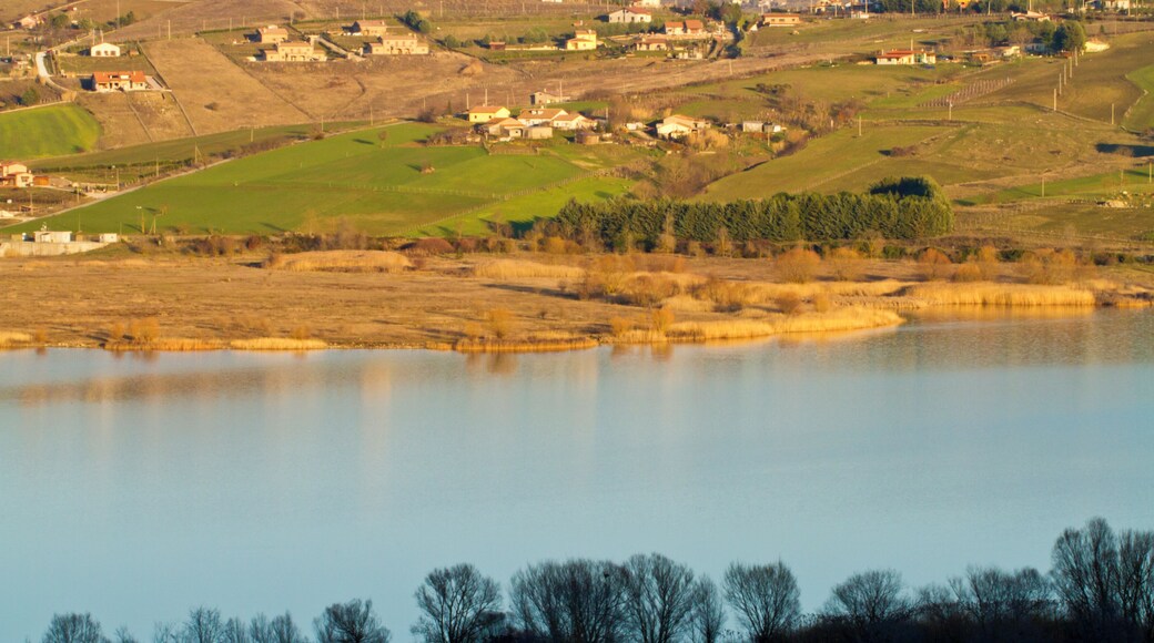 The authorisation for taking photos of this object was provided by the World Wide Fund for Nature Italy.