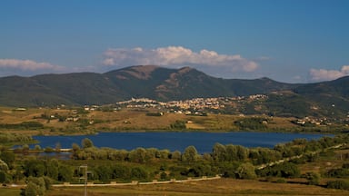 The authorisation for taking photos of this object was provided by the World Wide Fund for Nature Italy.