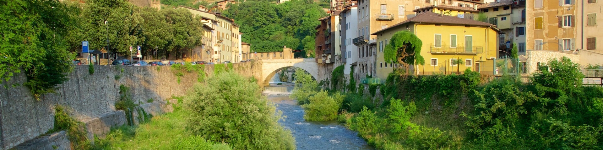 Rovereto featuring a river or creek and flowers