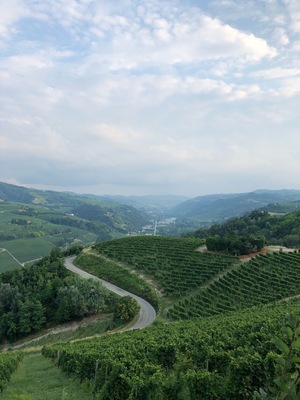 What a view!! What great wine!!