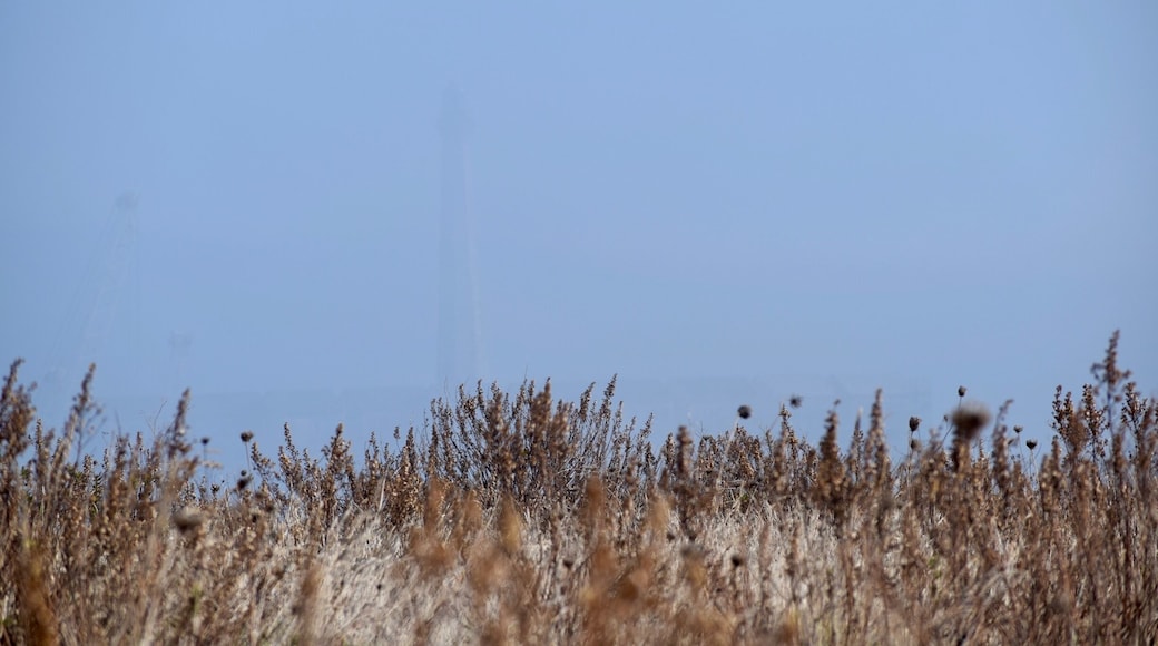 The ghost lighthouse
