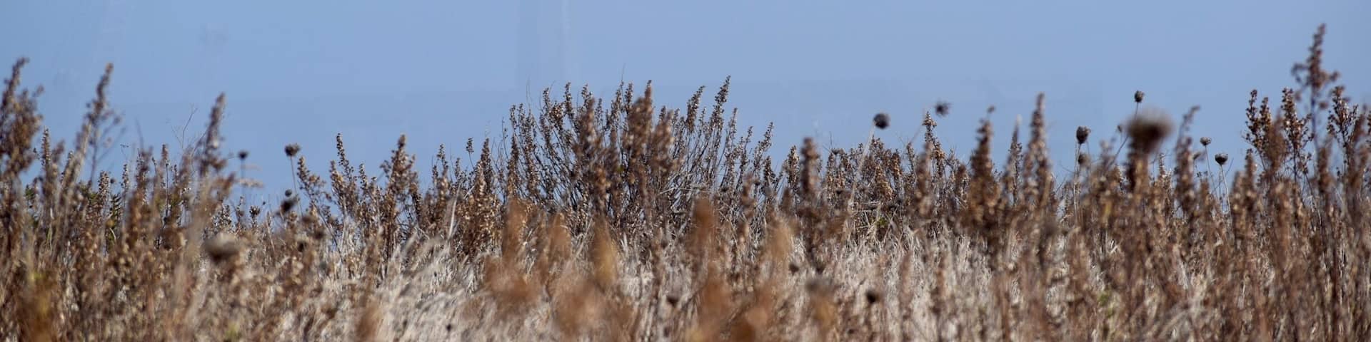 The ghost lighthouse