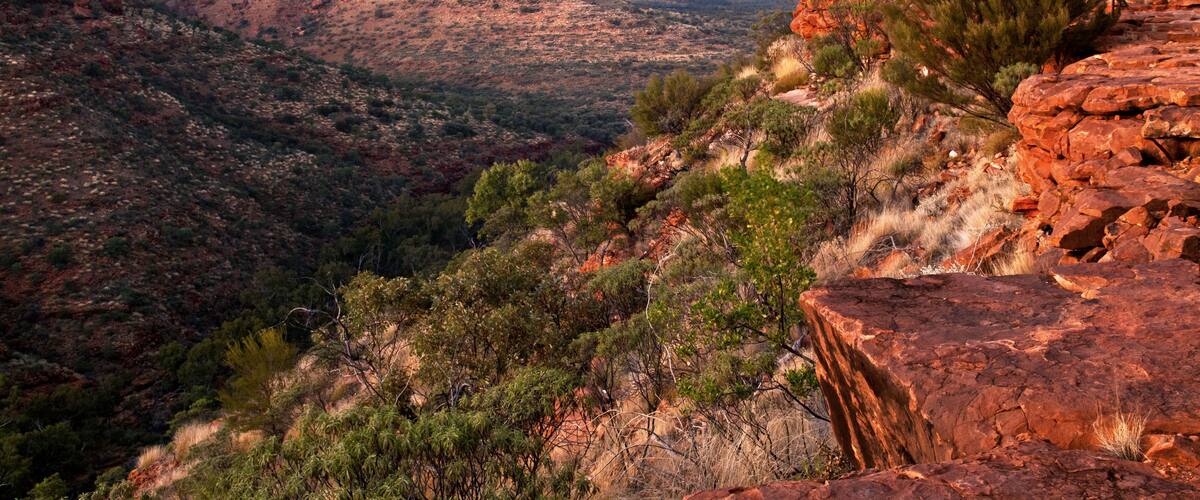 Pink dawn skies illuminate vertical cliffs of Kings Canyon in the Northern Territories of Australia; Shutterstock ID 613563653; Purchase Order: -