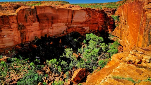 Kings canyon - Australia, Shutterstock ID 155142875, Purchase Order: -